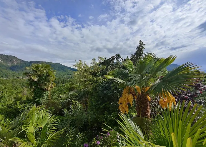 Feluca Porto Tatil Evi