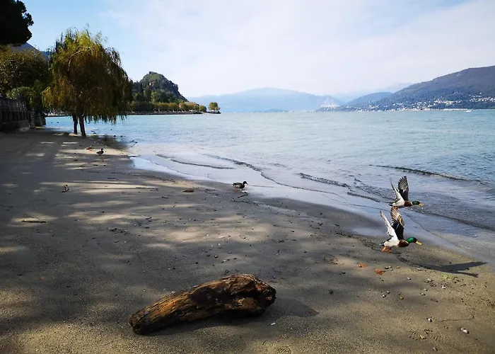 Feluca Porto * Porto Valtravaglia